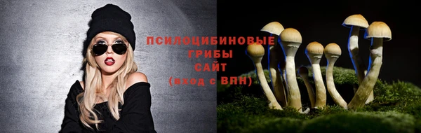 бошки Алексеевка