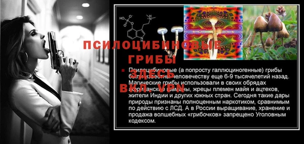 бошки Алексеевка