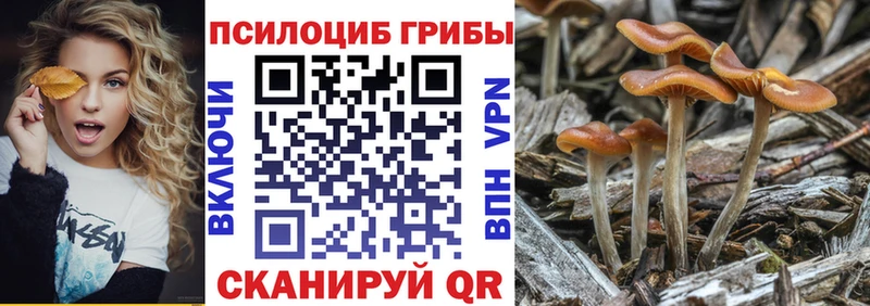OMG как войти  Кропоткин  Псилоцибиновые грибы MAGIC MUSHROOMS 